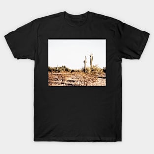 Cacti, Desert, Landscape, Sky, Nature print T-Shirt